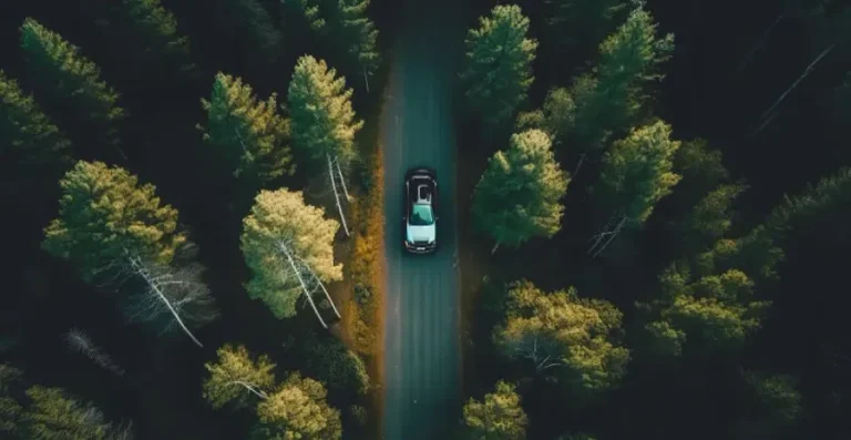 pohled shora na auto jedoucí po silnici v lese